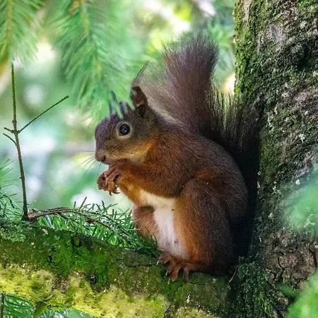 캠프장 Mobil-home Beau Rivage Gunsbach